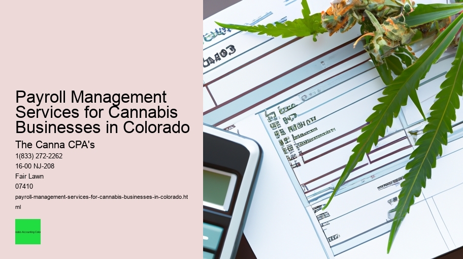 Payroll Management Services for Cannabis Businesses in Colorado